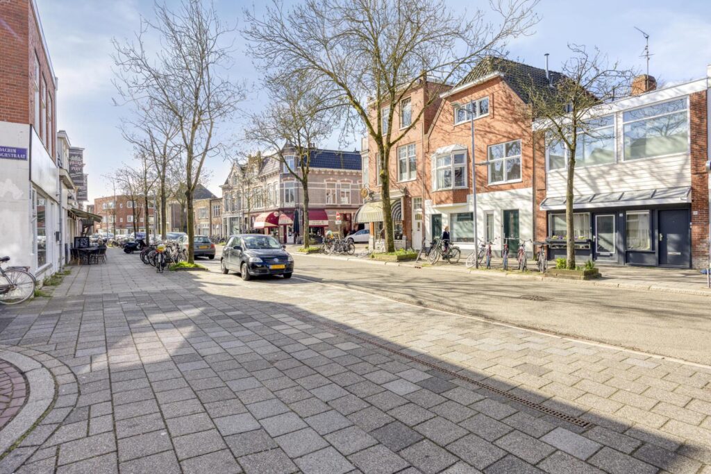 Joachim Altinghstraat 11