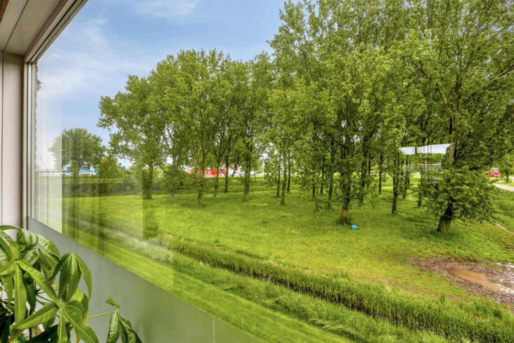 Borgweg 25