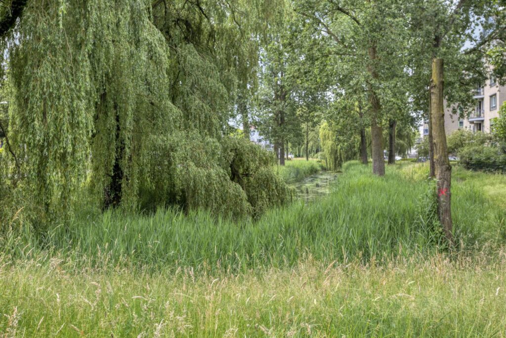 De Gaullesingel 153